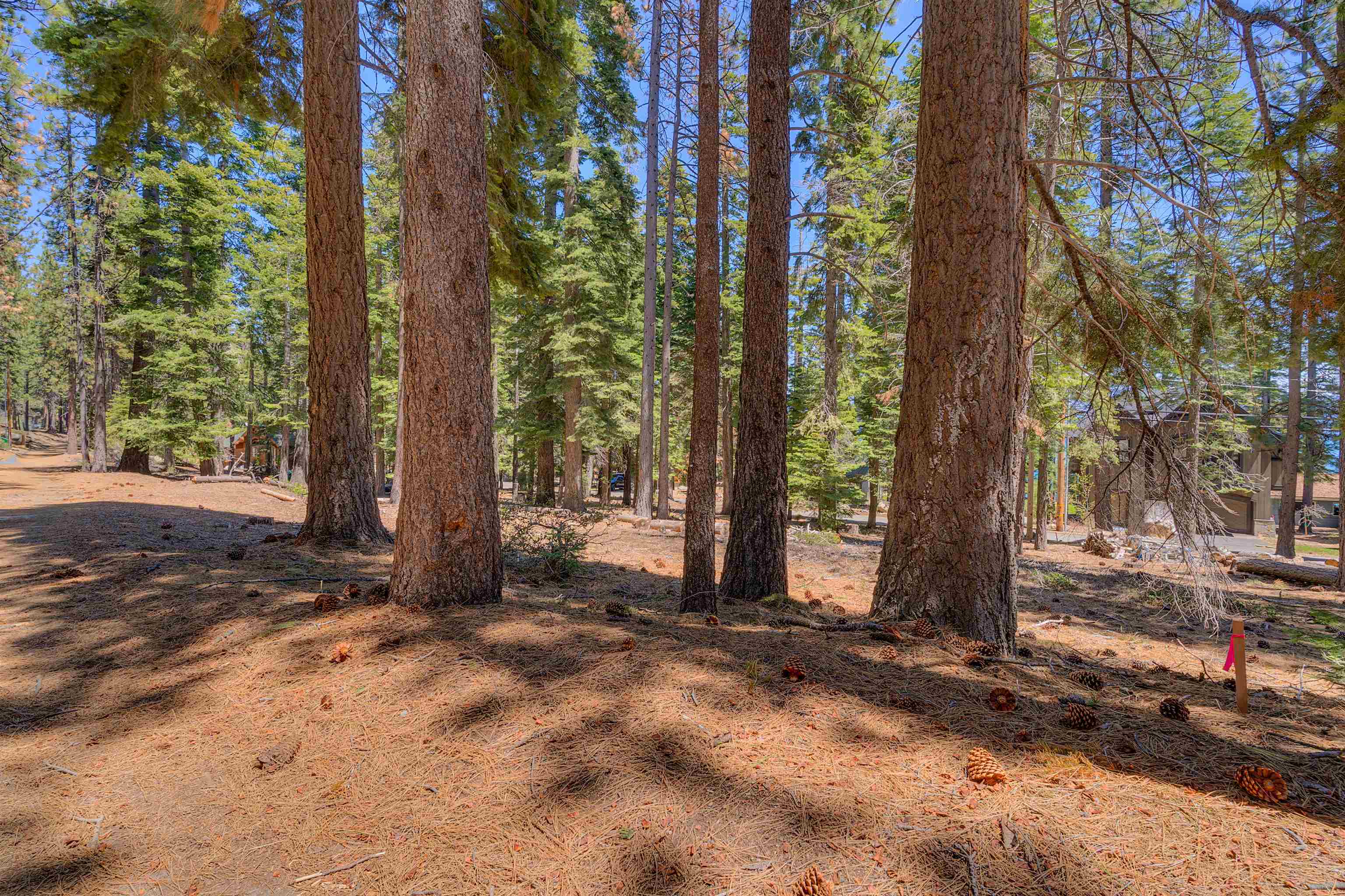 Meeks Bay Avenue, South Lake Tahoe, CA, 96150