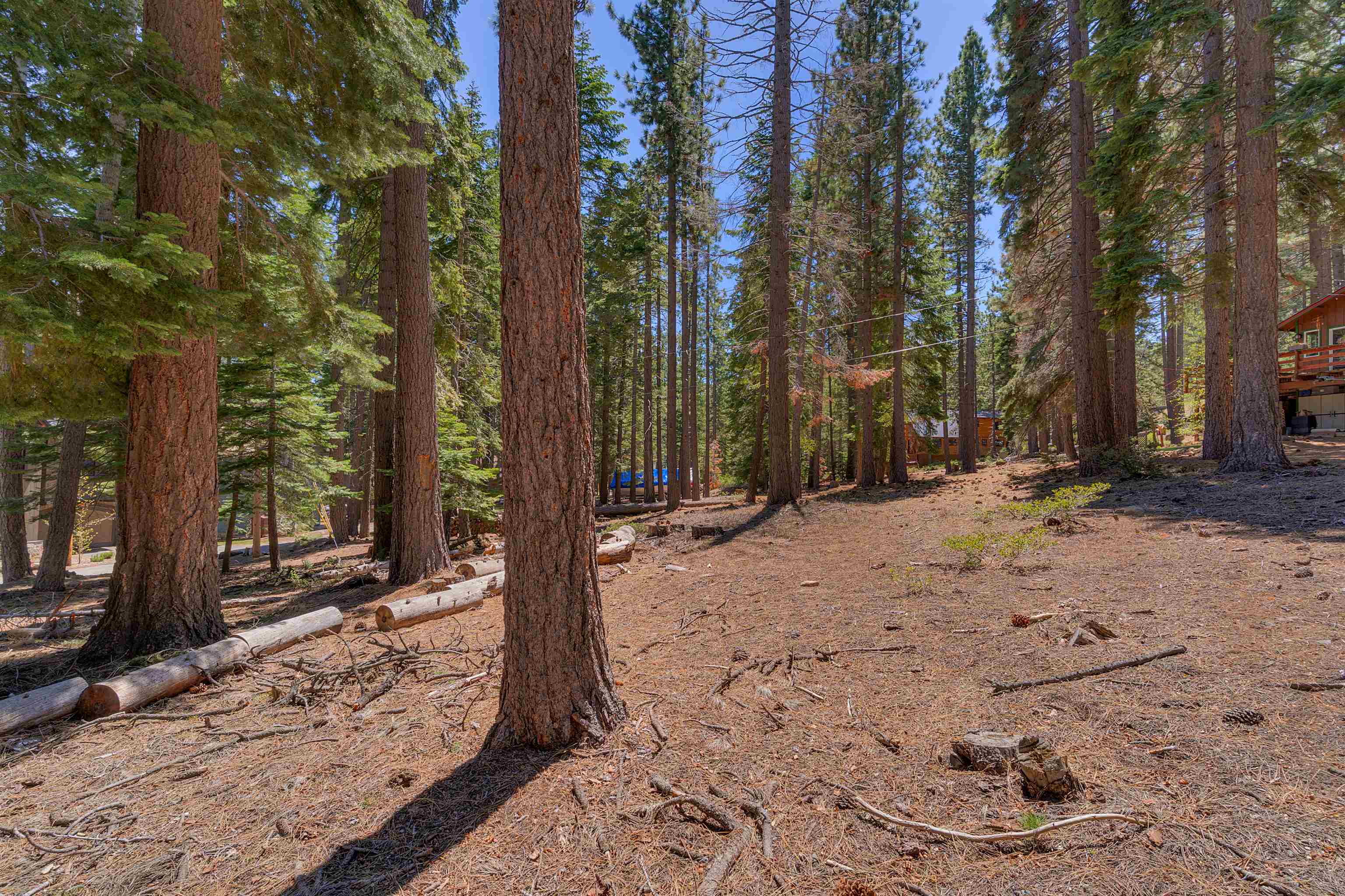 Meeks Bay Avenue, South Lake Tahoe, CA, 96150
