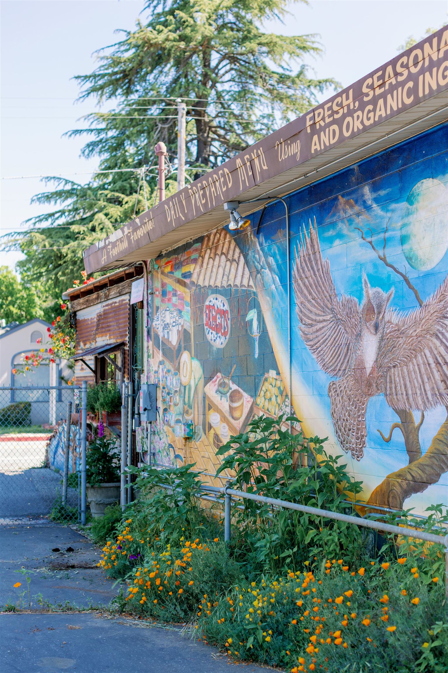 217 Colfax Avenue, Grass Valley, CA, 95945