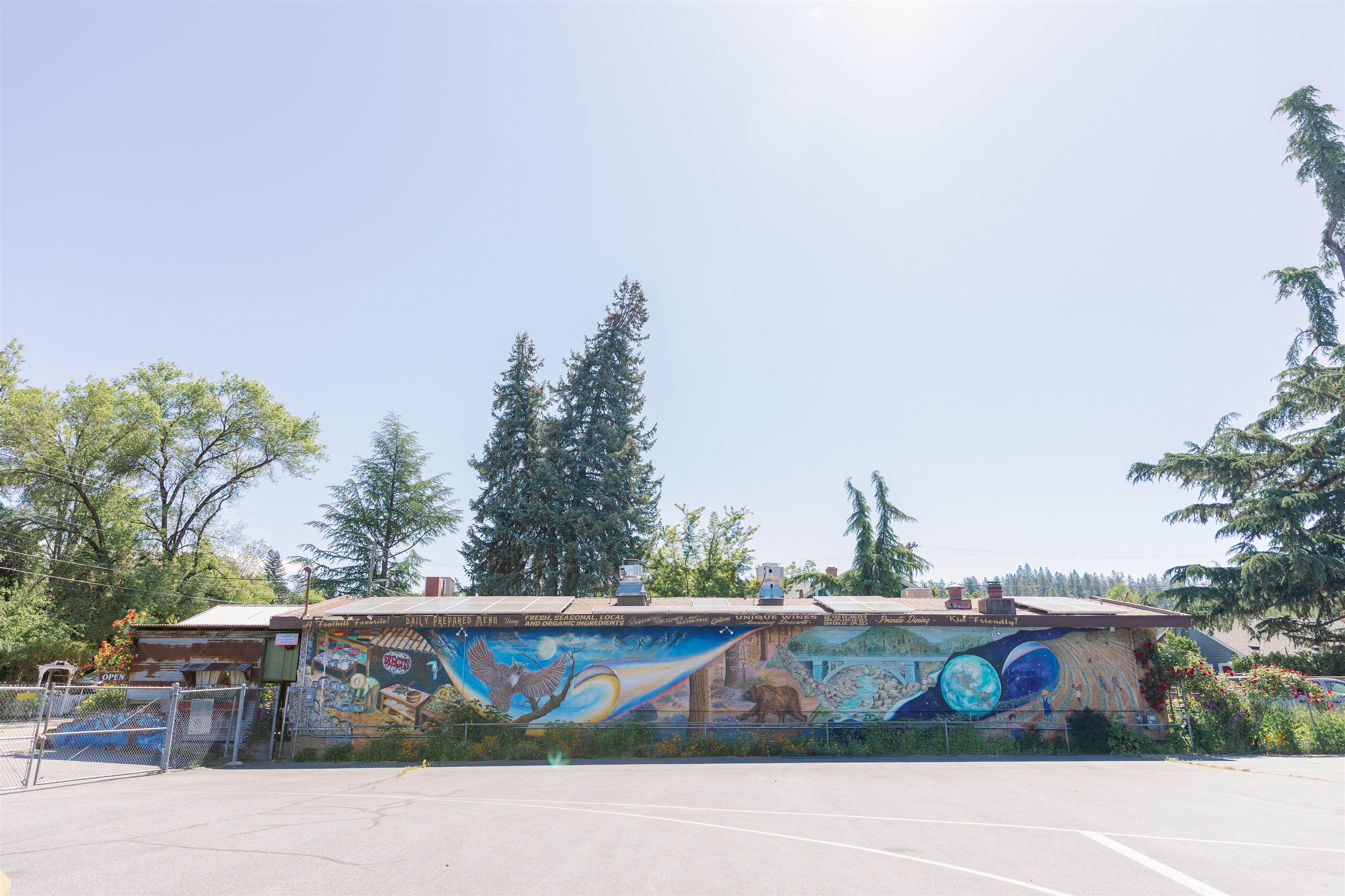 217 Colfax Avenue, Grass Valley, CA, 95945