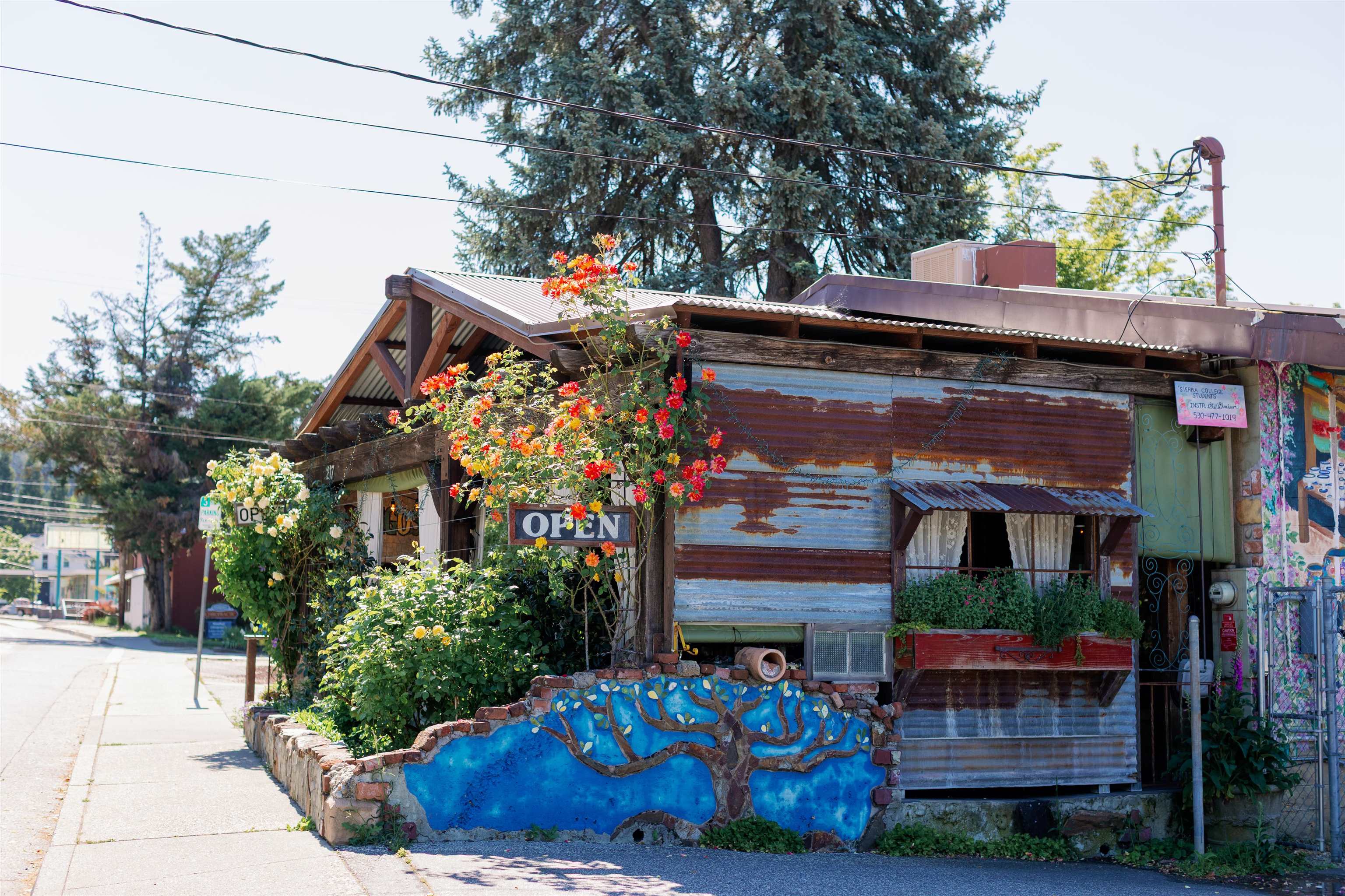 217 Colfax Avenue, Grass Valley, CA, 95945