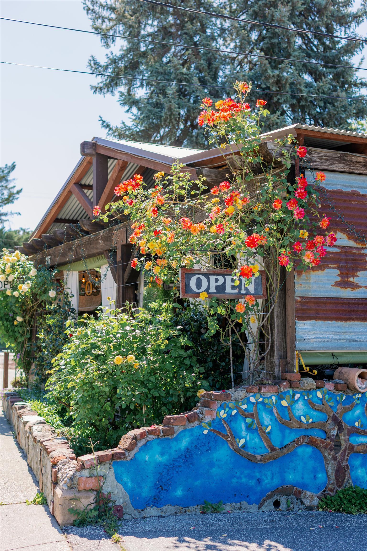 217 Colfax Avenue, Grass Valley, CA, 95945