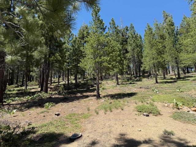 13872 Alder Creek Road, Truckee, CA, 96161