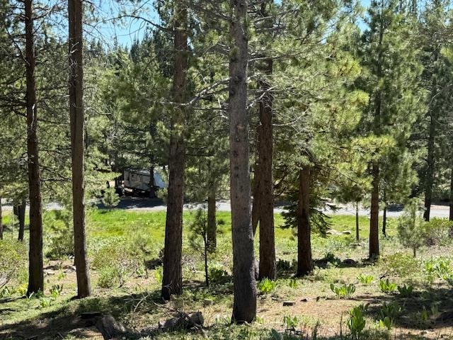 13872 Alder Creek Road, Truckee, CA, 96161
