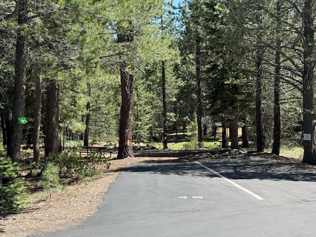 13872 Alder Creek Road, Truckee, CA, 96161