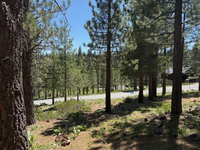 13872 Alder Creek Road, Truckee, CA, 96161