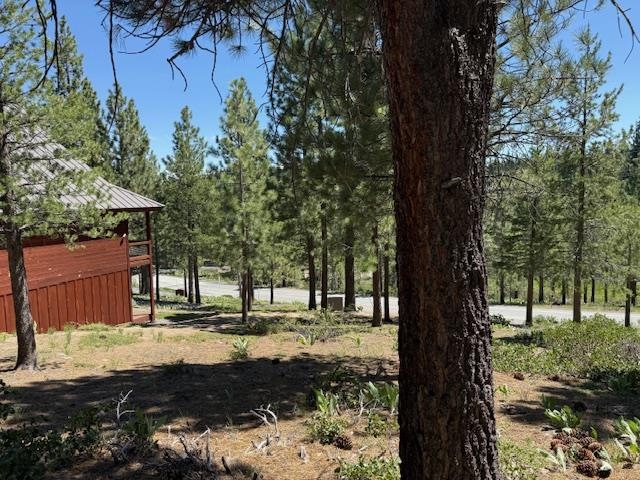 13872 Alder Creek Road, Truckee, CA, 96161