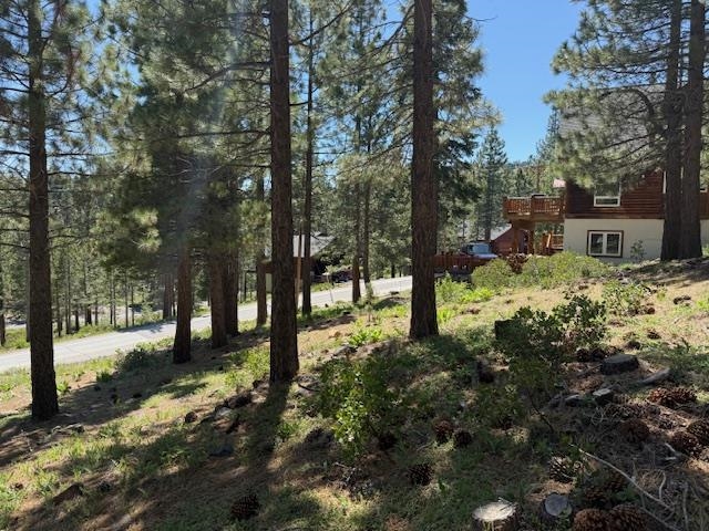 13872 Alder Creek Road, Truckee, CA, 96161