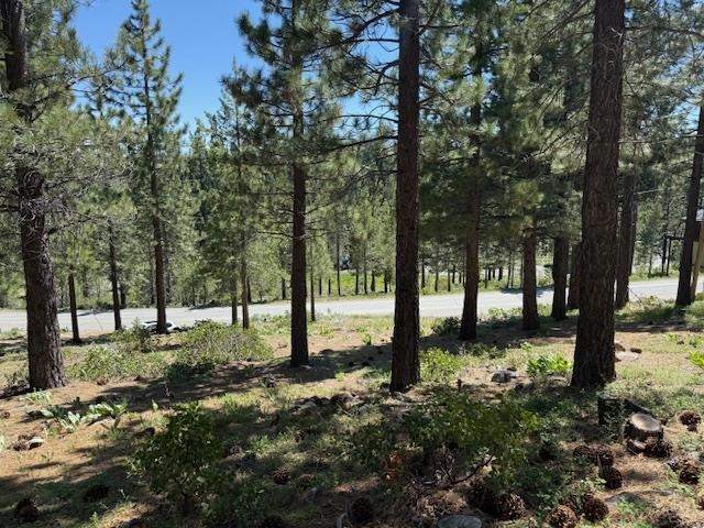 13872 Alder Creek Road, Truckee, CA, 96161