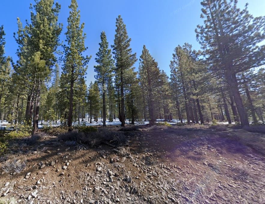 13872 Alder Creek Road, Truckee, CA, 96161