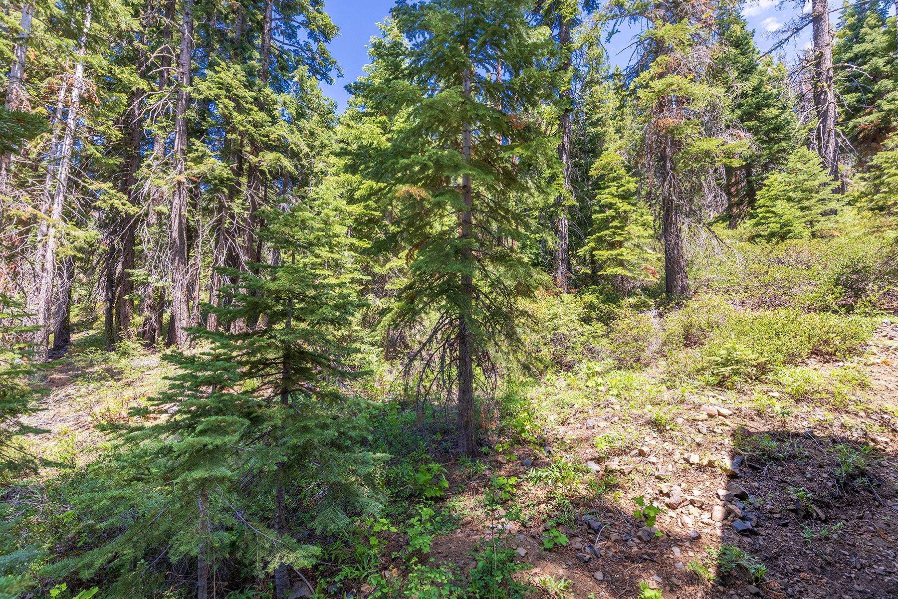 358 Twin Crags Road, Tahoe City, CA, 96145