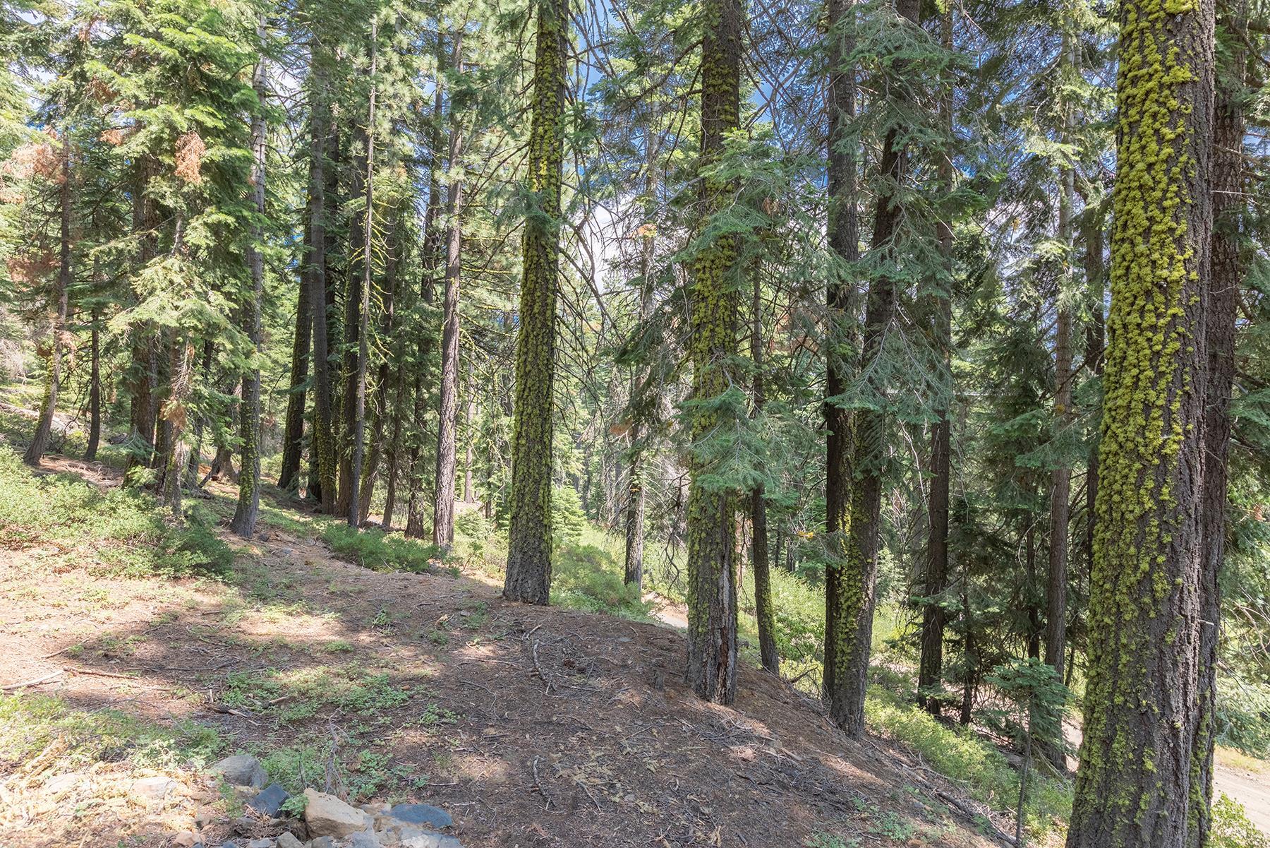 358 Twin Crags Road, Tahoe City, CA, 96145