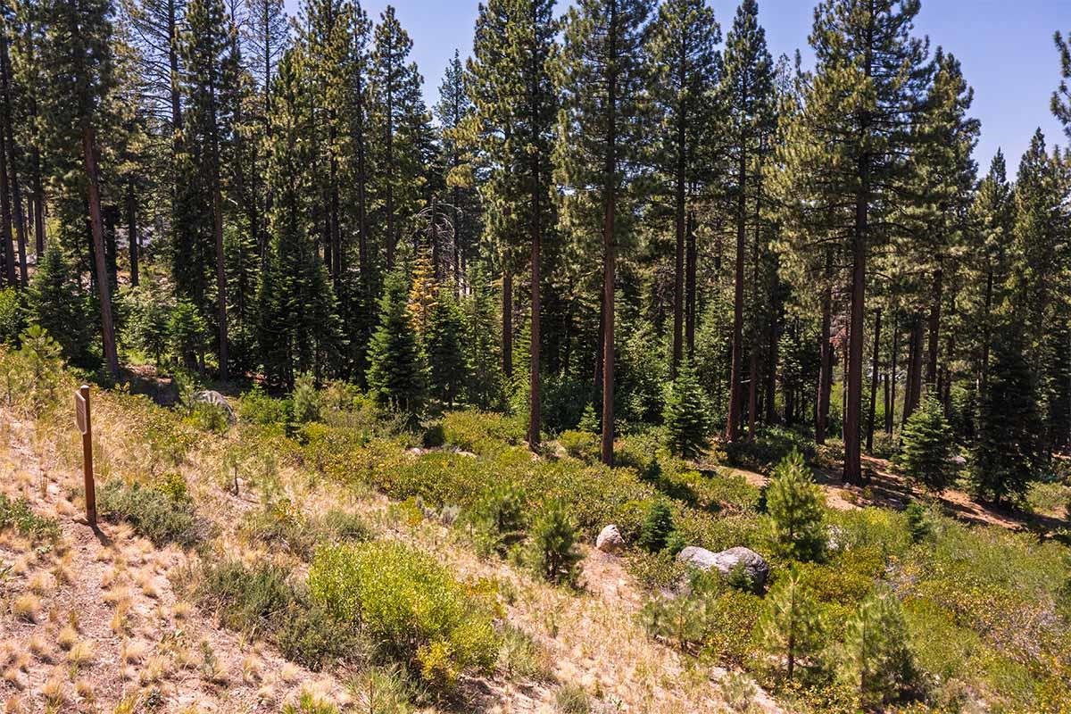 9501 Cloudcroft Court, Truckee, CA, 96161