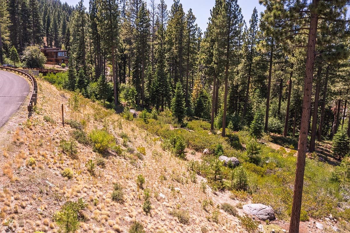 9501 Cloudcroft Court, Truckee, CA, 96161