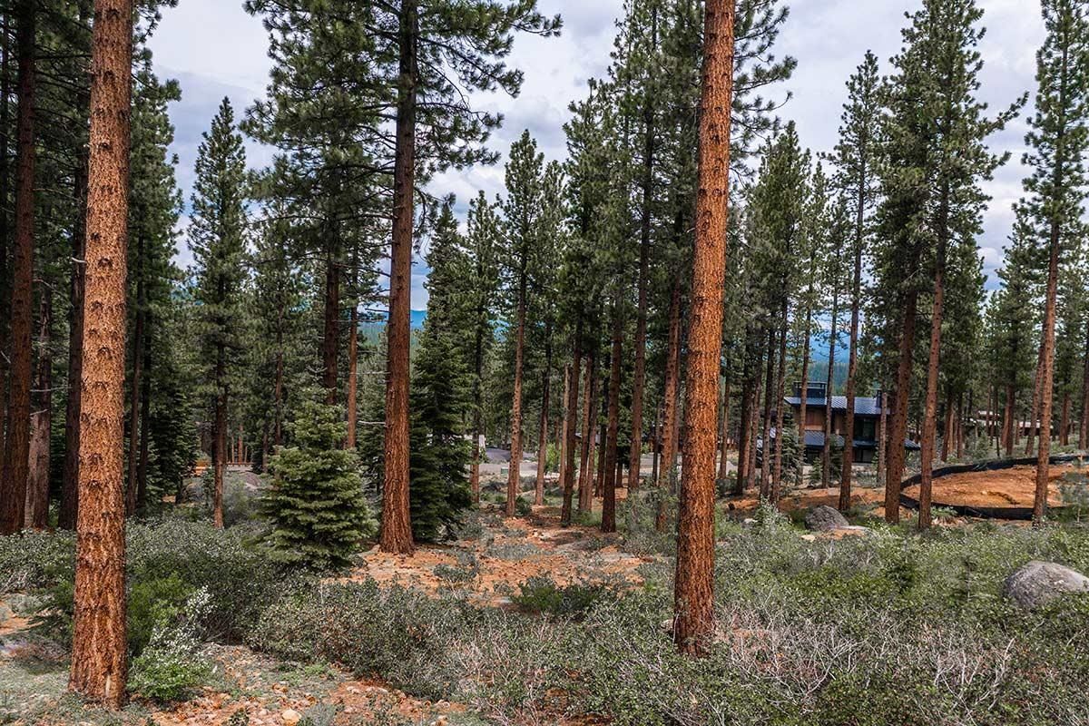9501 Cloudcroft Court, Truckee, CA, 96161