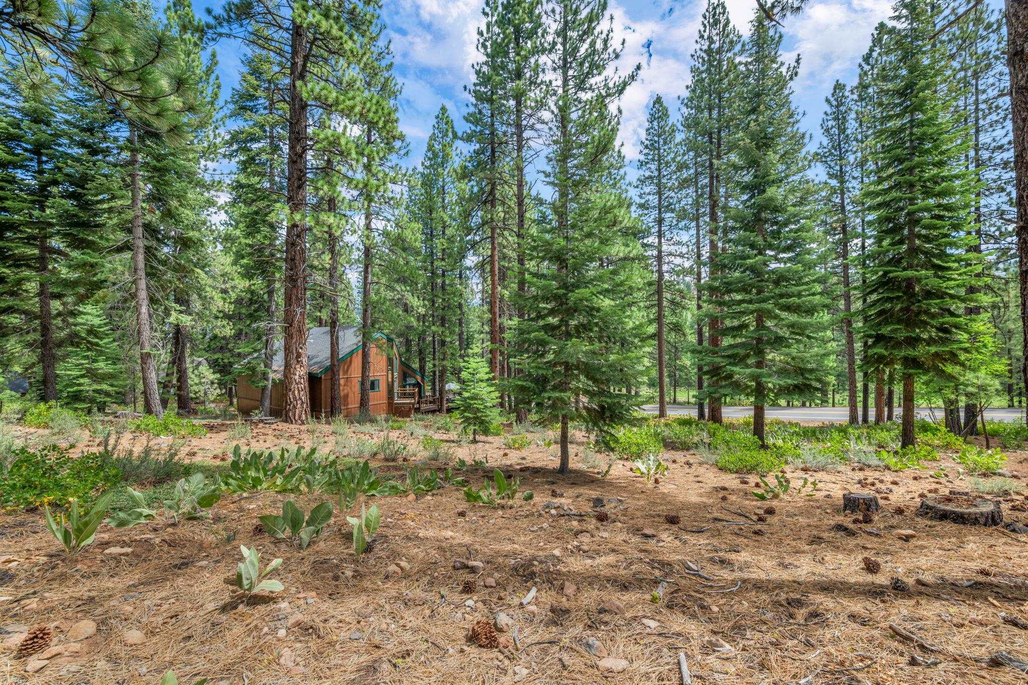 139 Basque, Truckee, CA, 96161