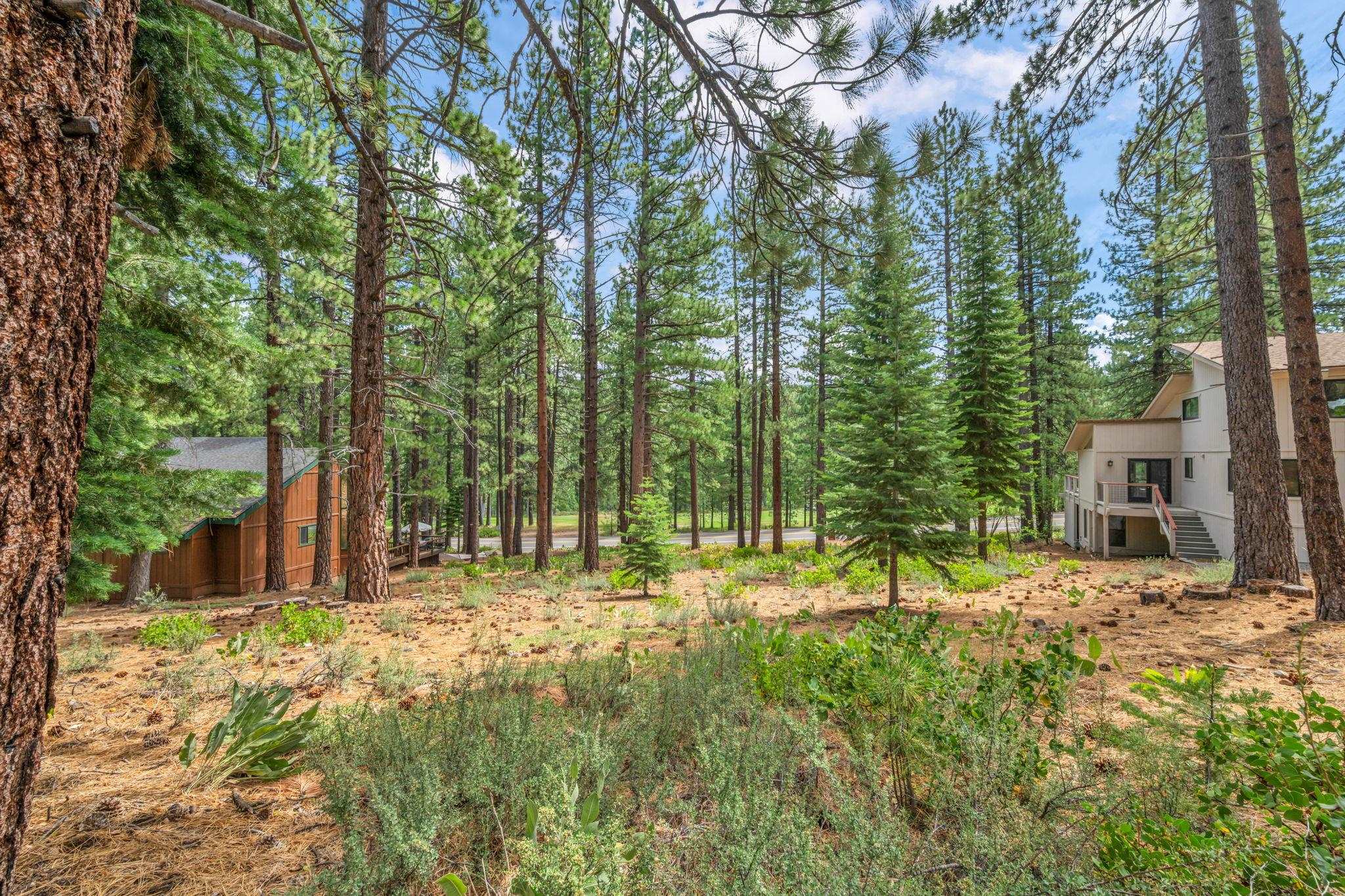 139 Basque, Truckee, CA, 96161