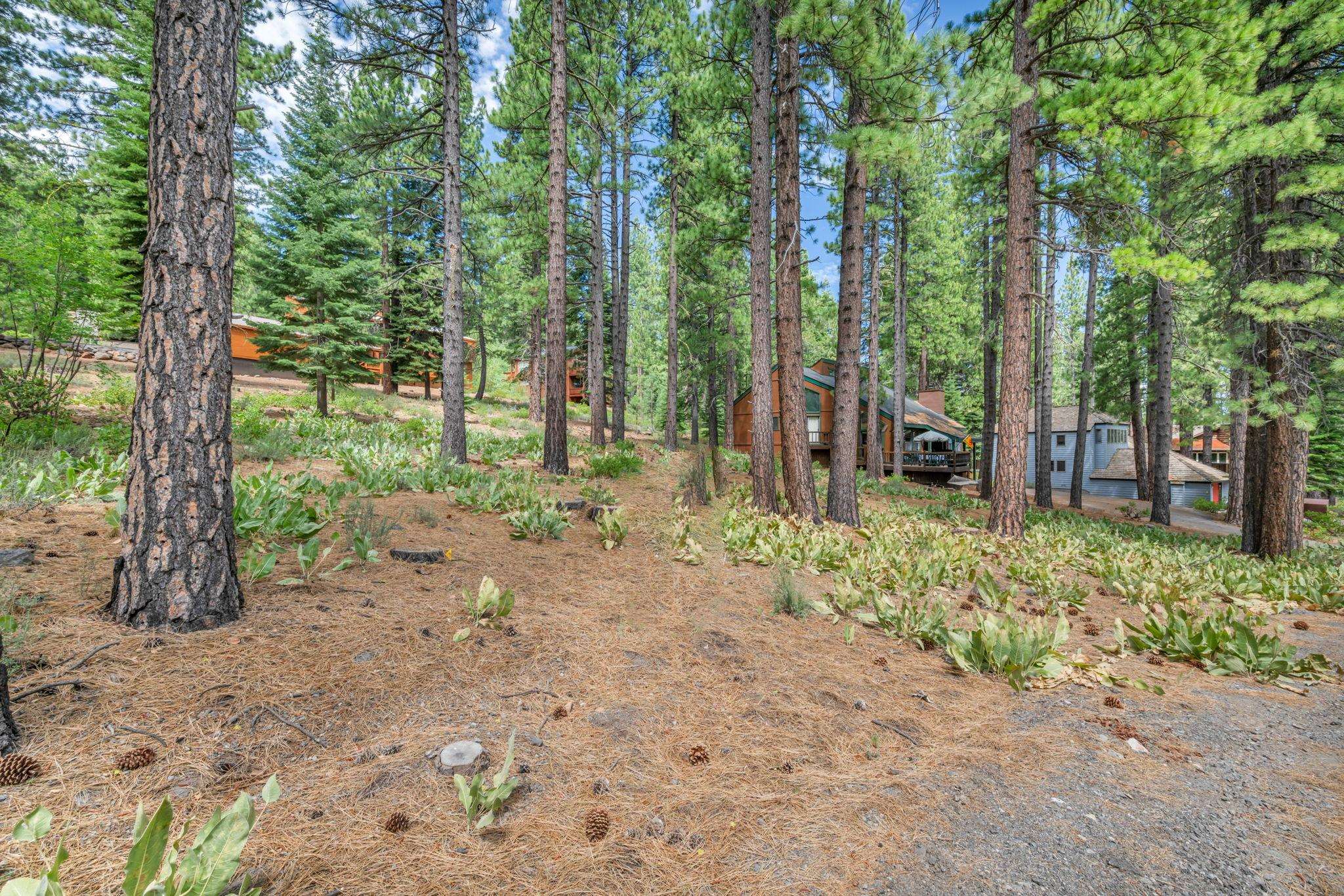 139 Basque, Truckee, CA, 96161