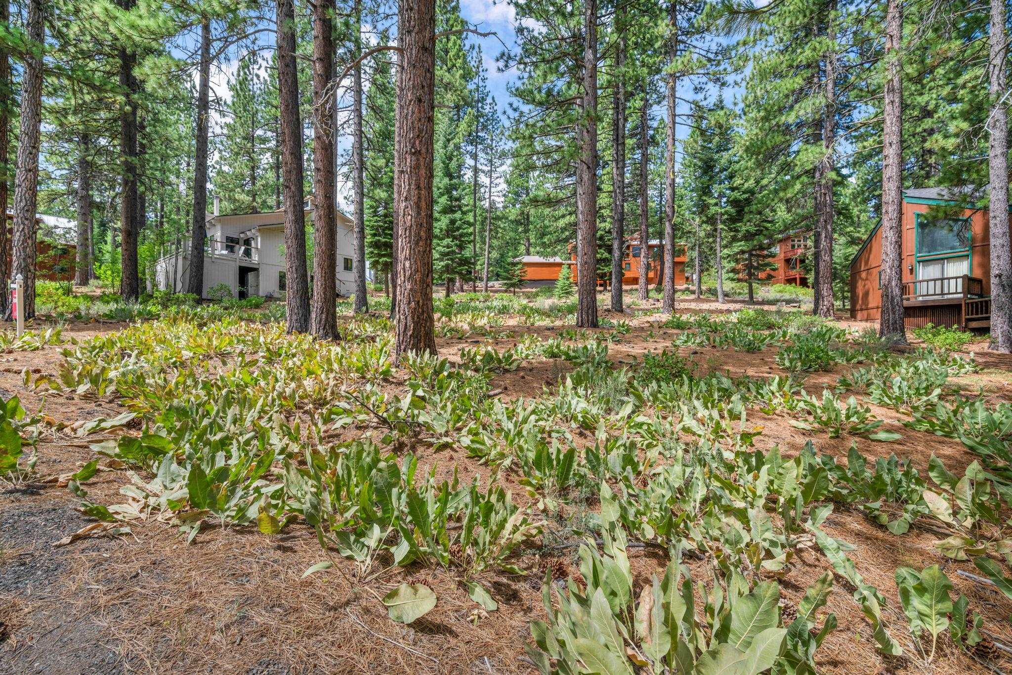 139 Basque, Truckee, CA, 96161