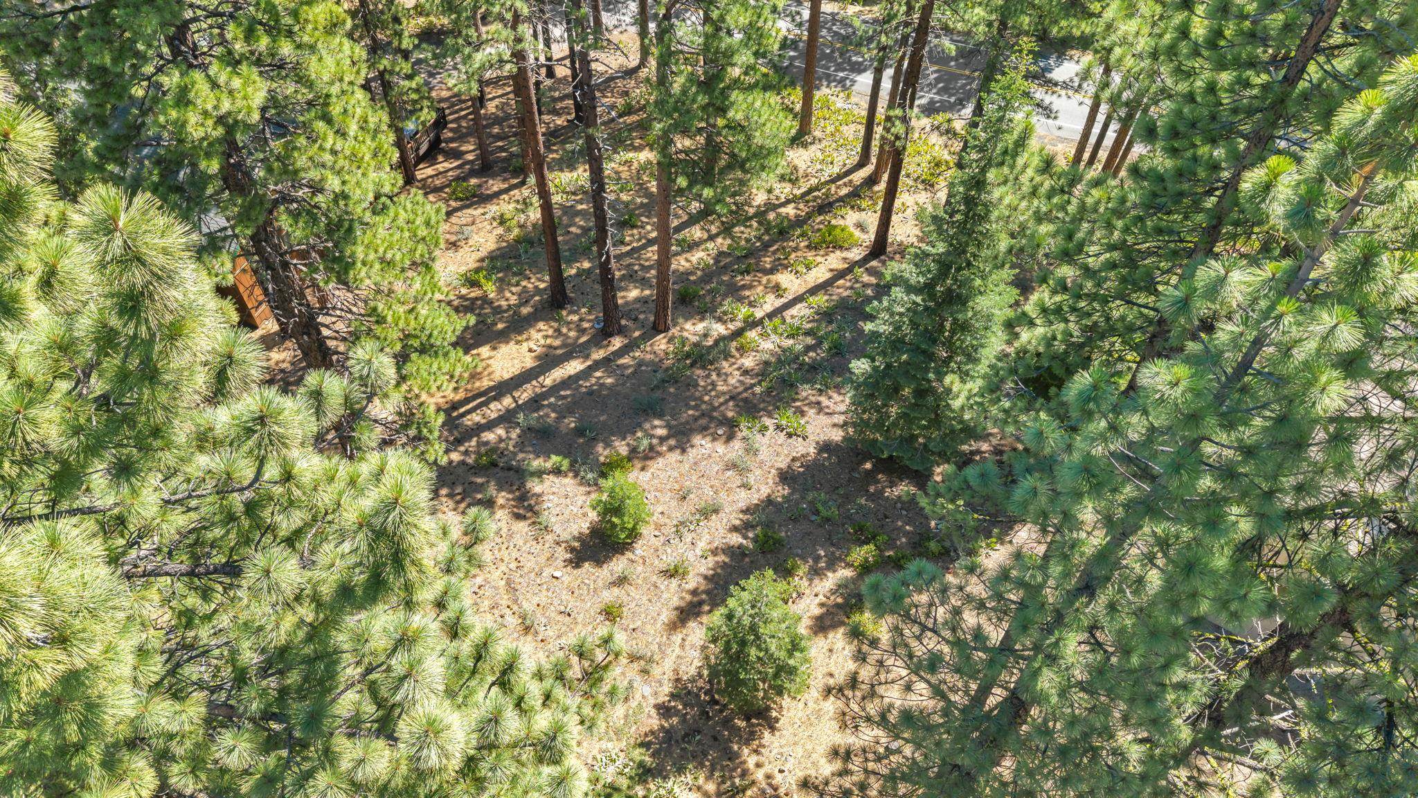 139 Basque, Truckee, CA, 96161