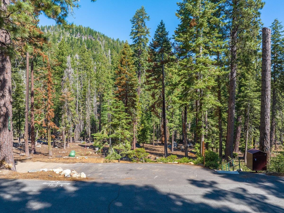 446 Sierra Drive