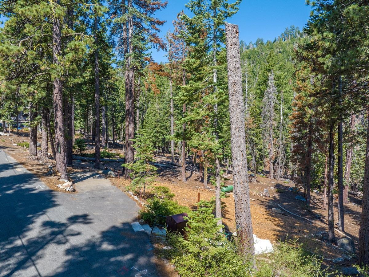 446 Sierra Drive