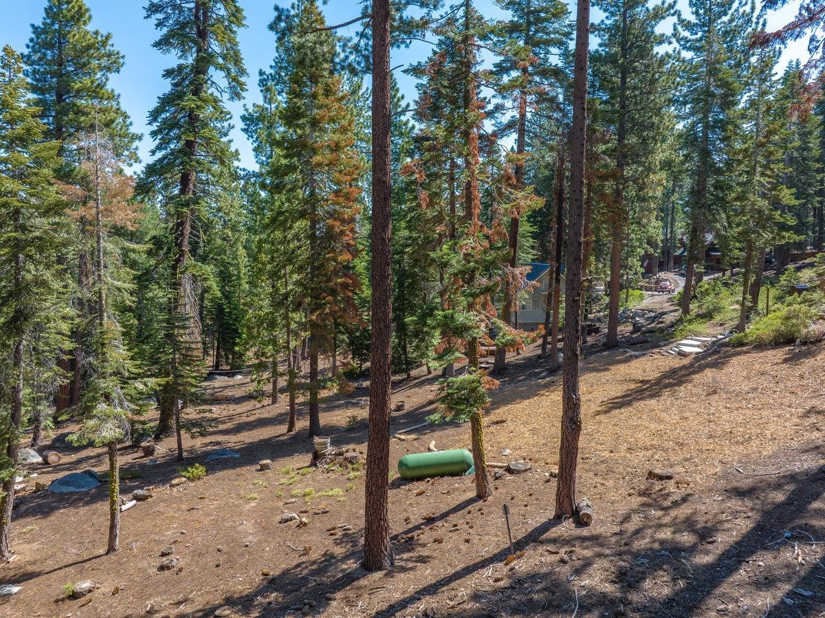 446 Sierra Drive