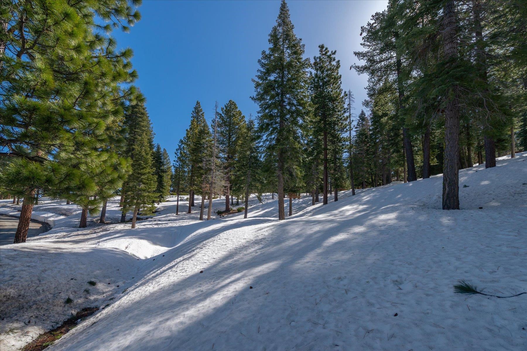 2640 Mill Site Road, Truckee, CA, 96161