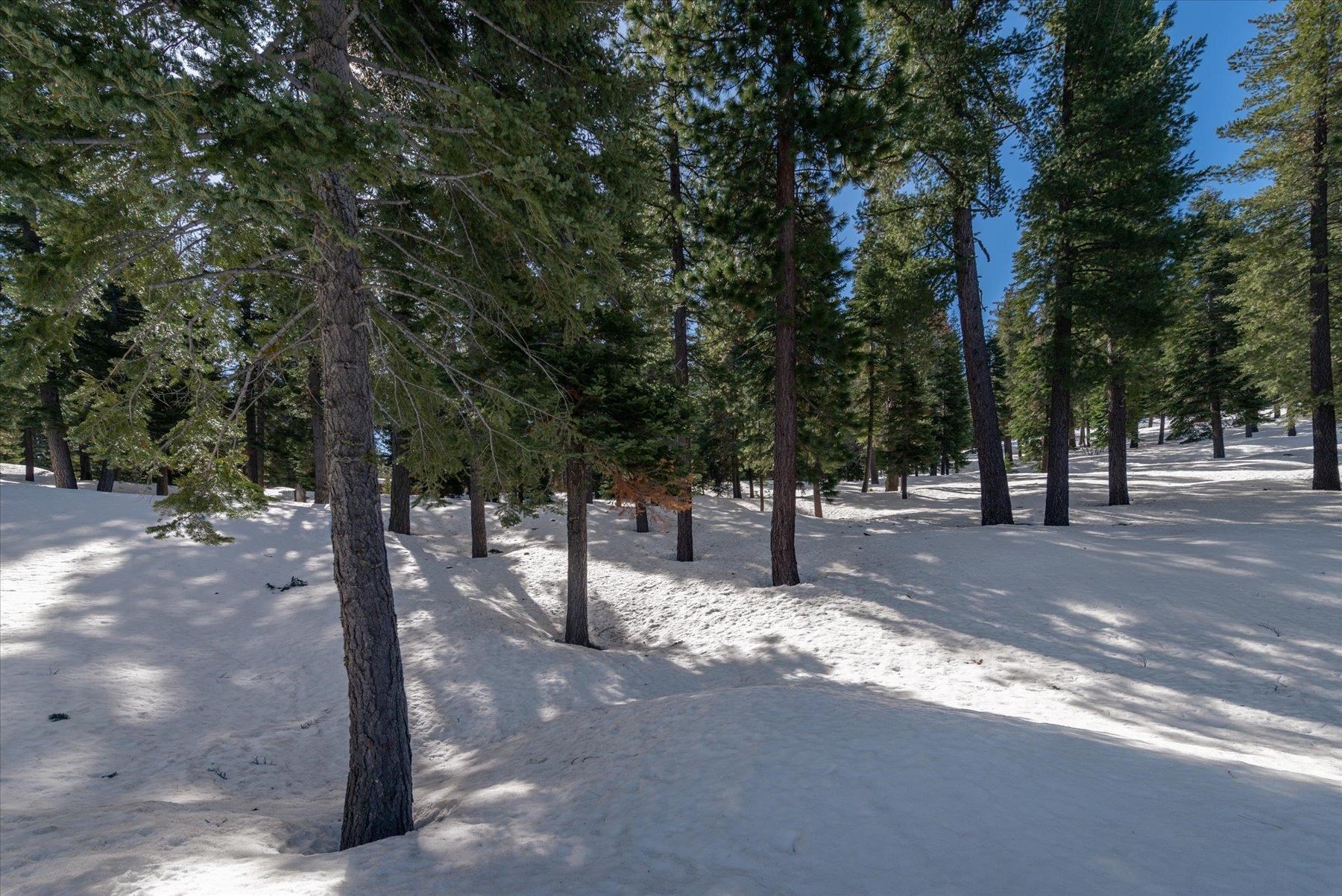 2640 Mill Site Road, Truckee, CA, 96161