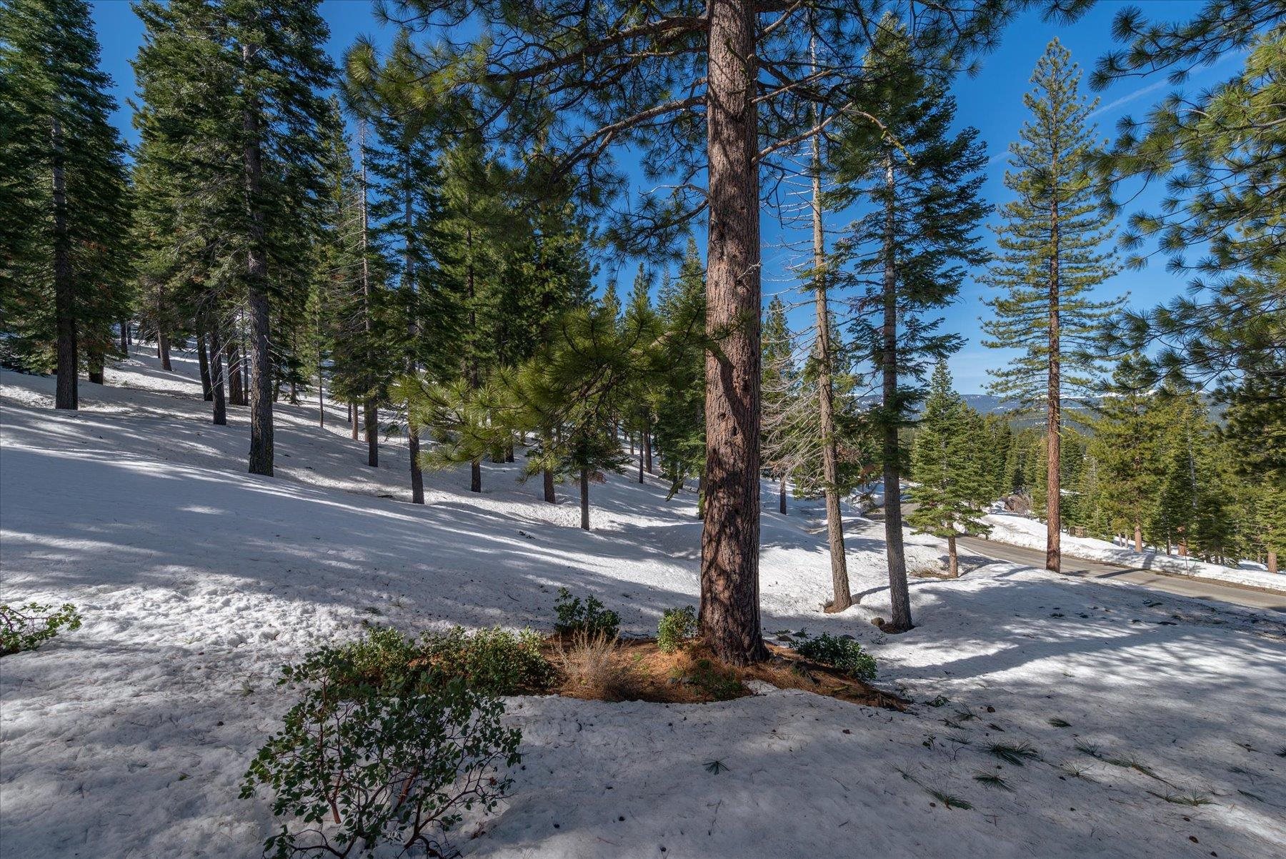 2640 Mill Site Road, Truckee, CA, 96161