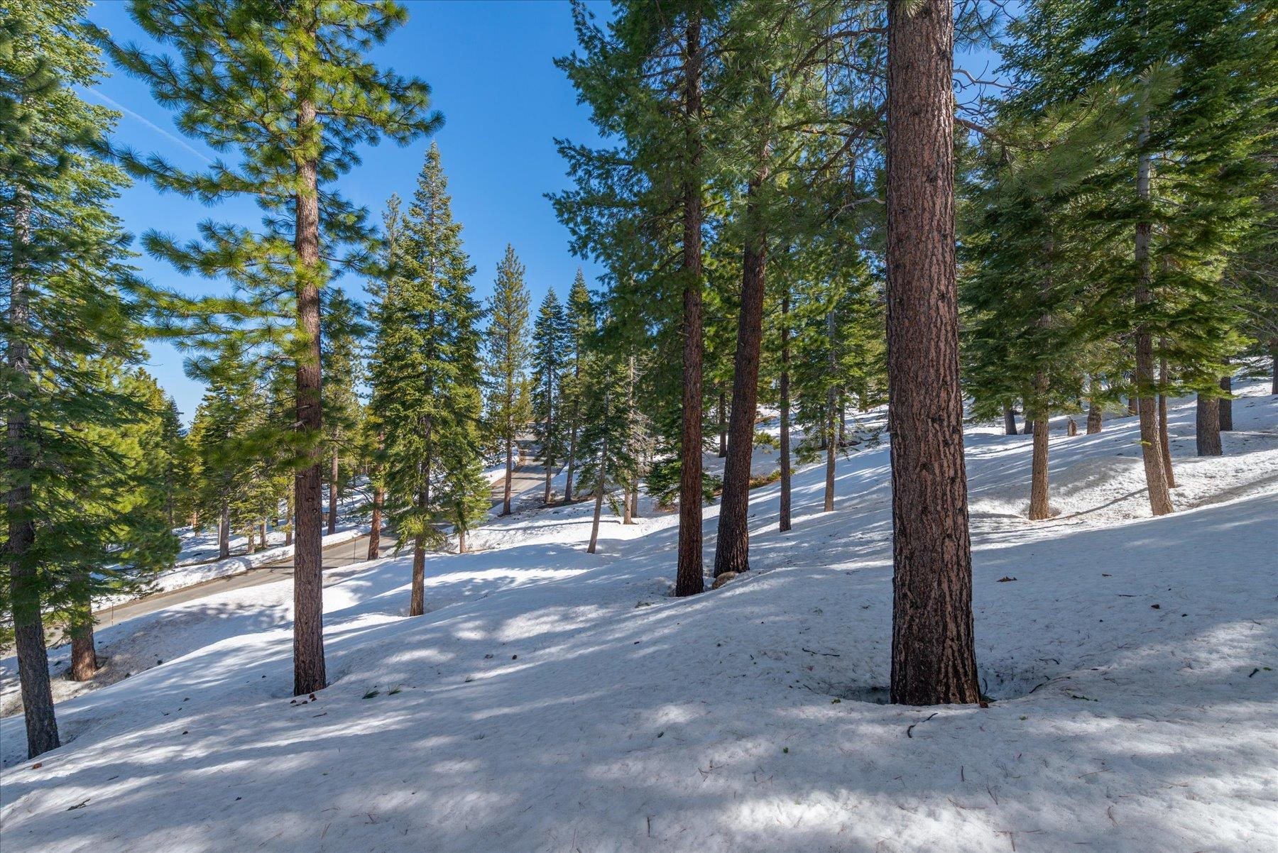 2640 Mill Site Road, Truckee, CA, 96161