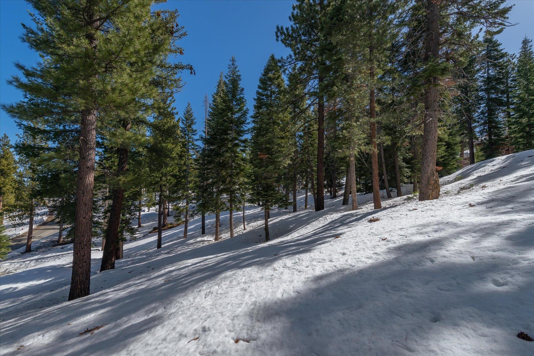 2640 Mill Site Road, Truckee, CA, 96161