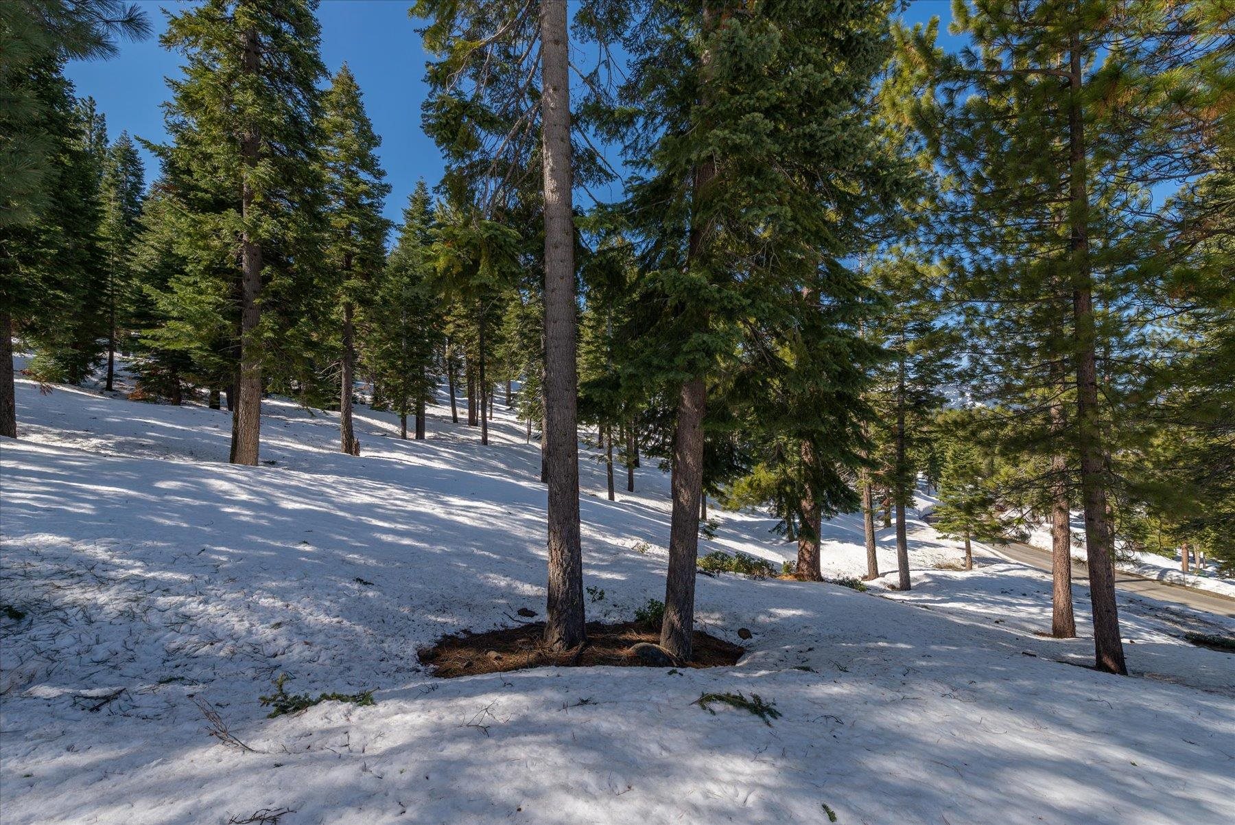 2640 Mill Site Road, Truckee, CA, 96161