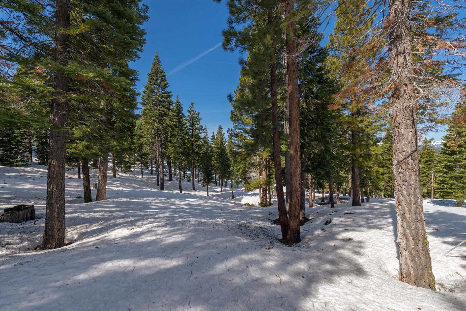 2640 Mill Site Road, Truckee, CA, 96161
