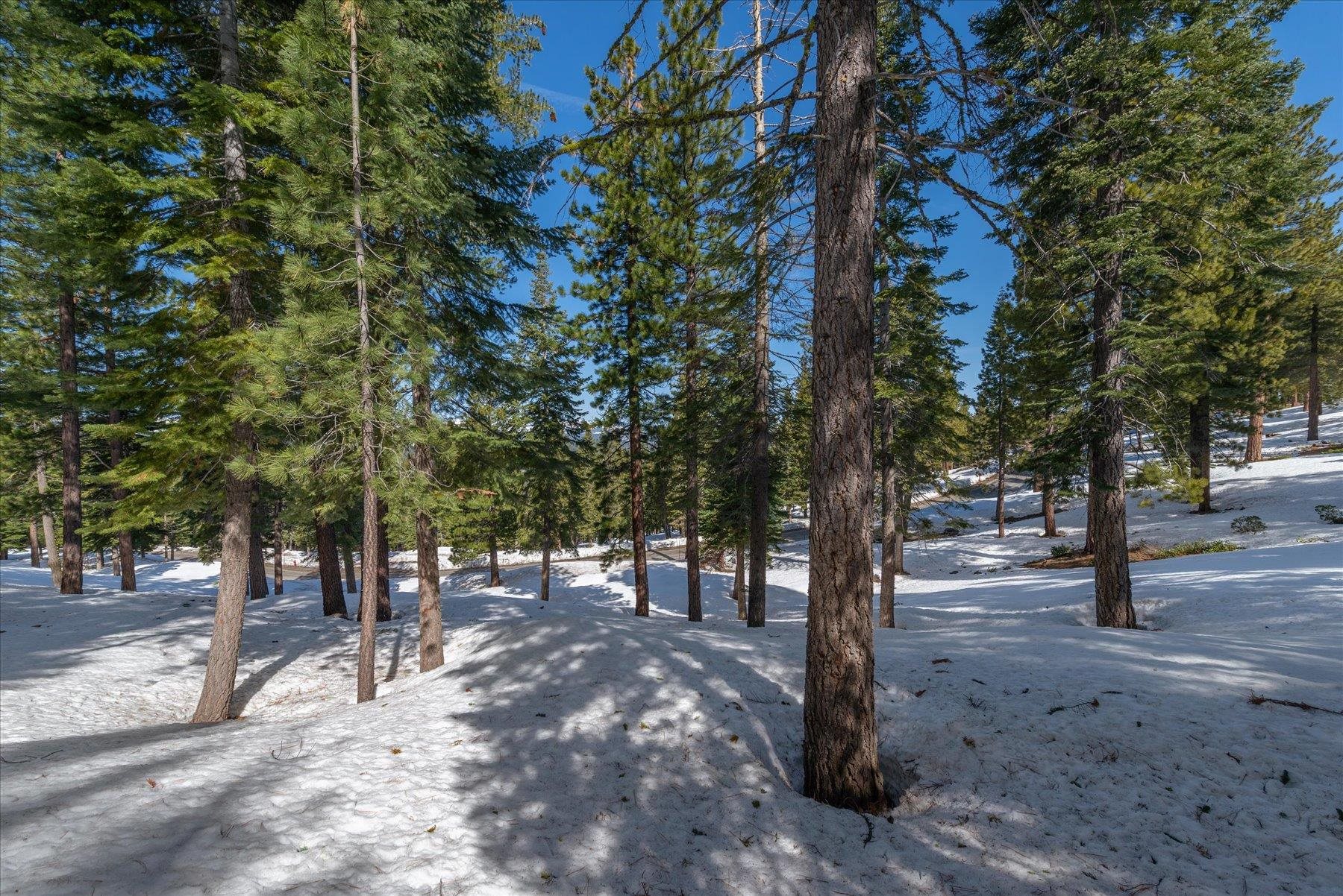 2640 Mill Site Road, Truckee, CA, 96161