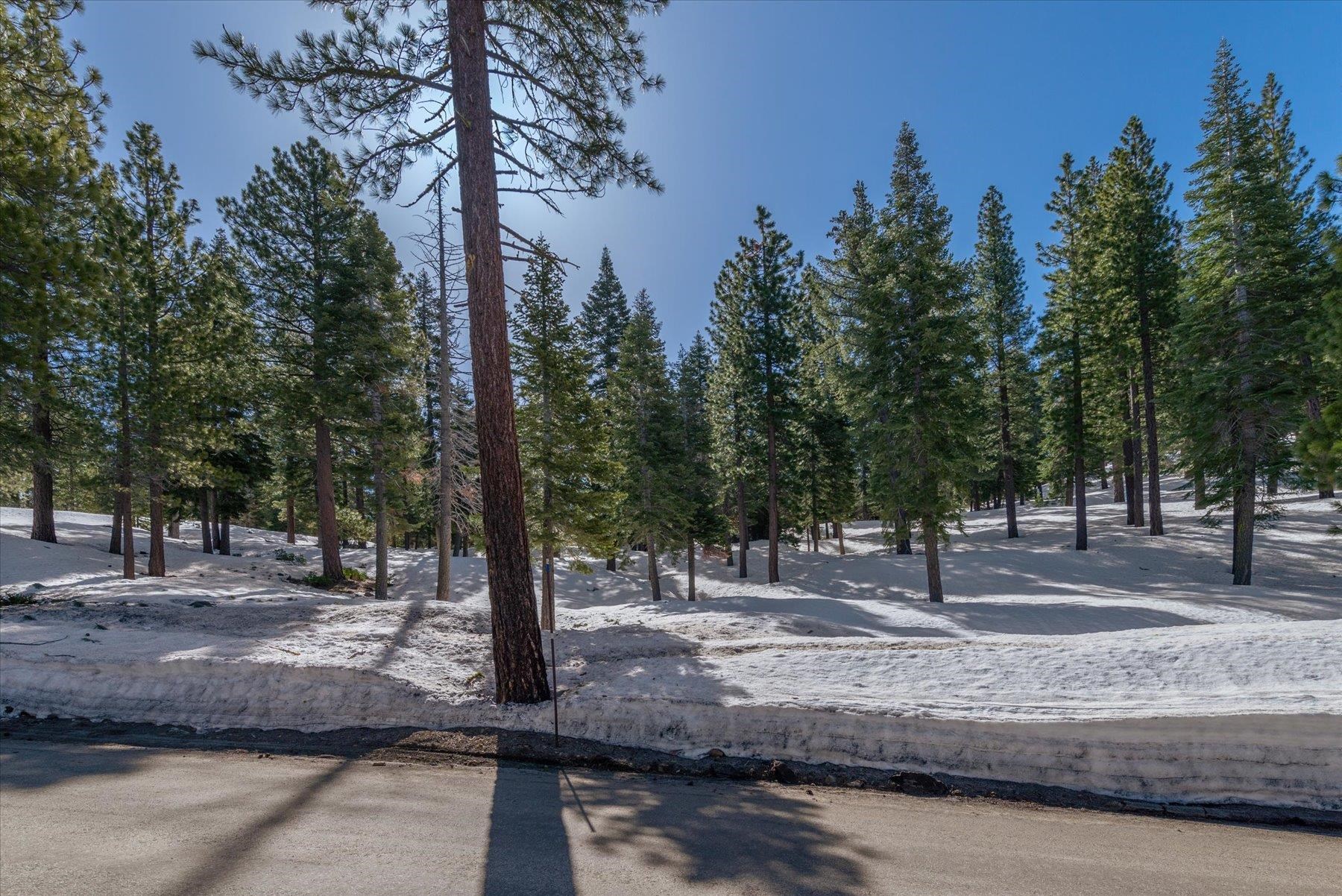 2640 Mill Site Road, Truckee, CA, 96161