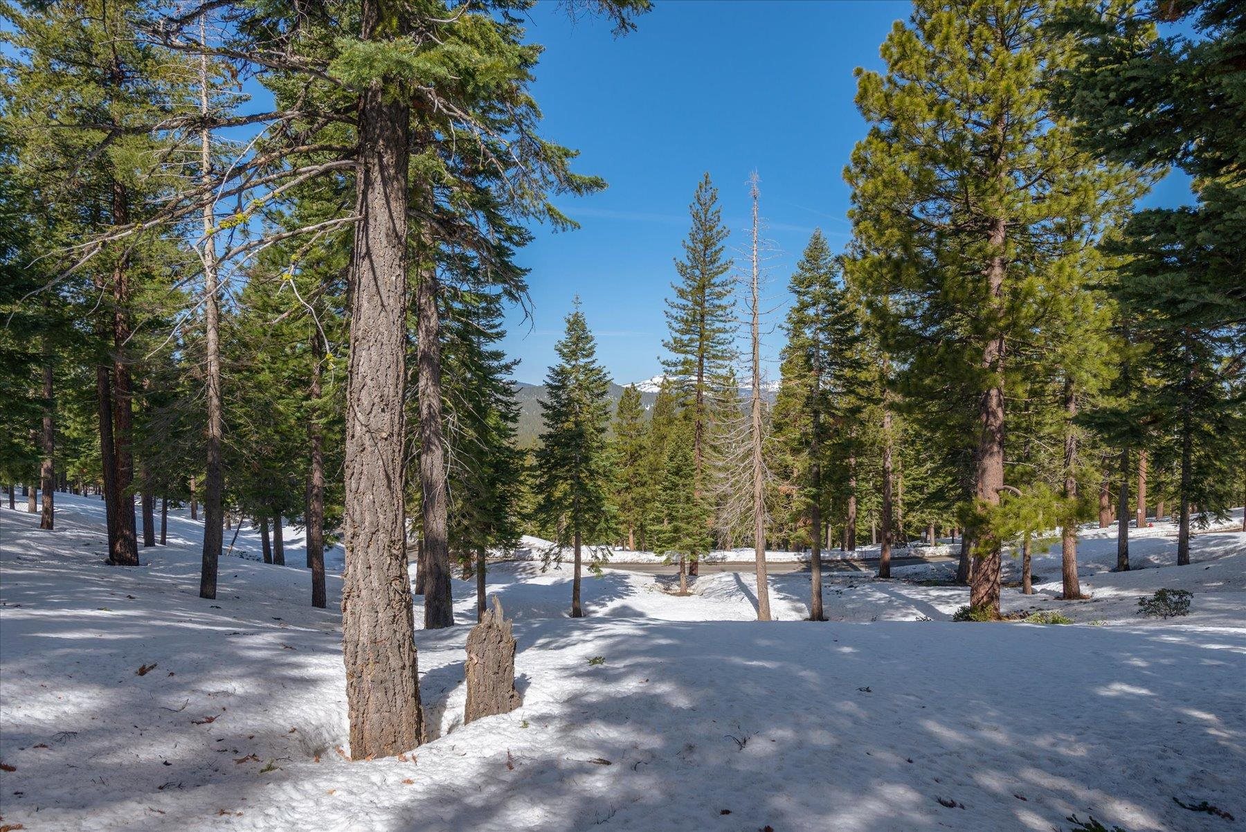 2640 Mill Site Road, Truckee, CA, 96161