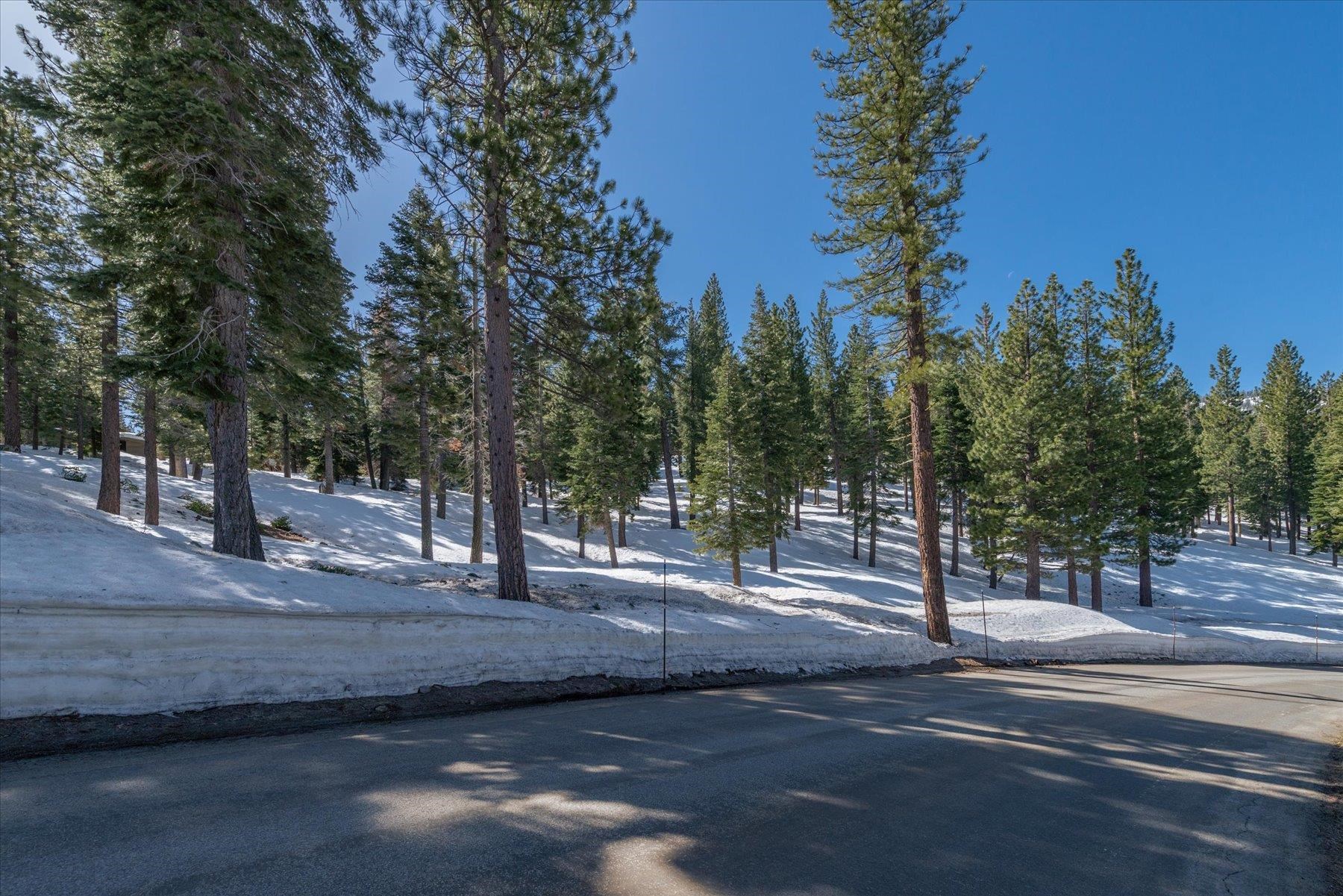2640 Mill Site Road, Truckee, CA, 96161