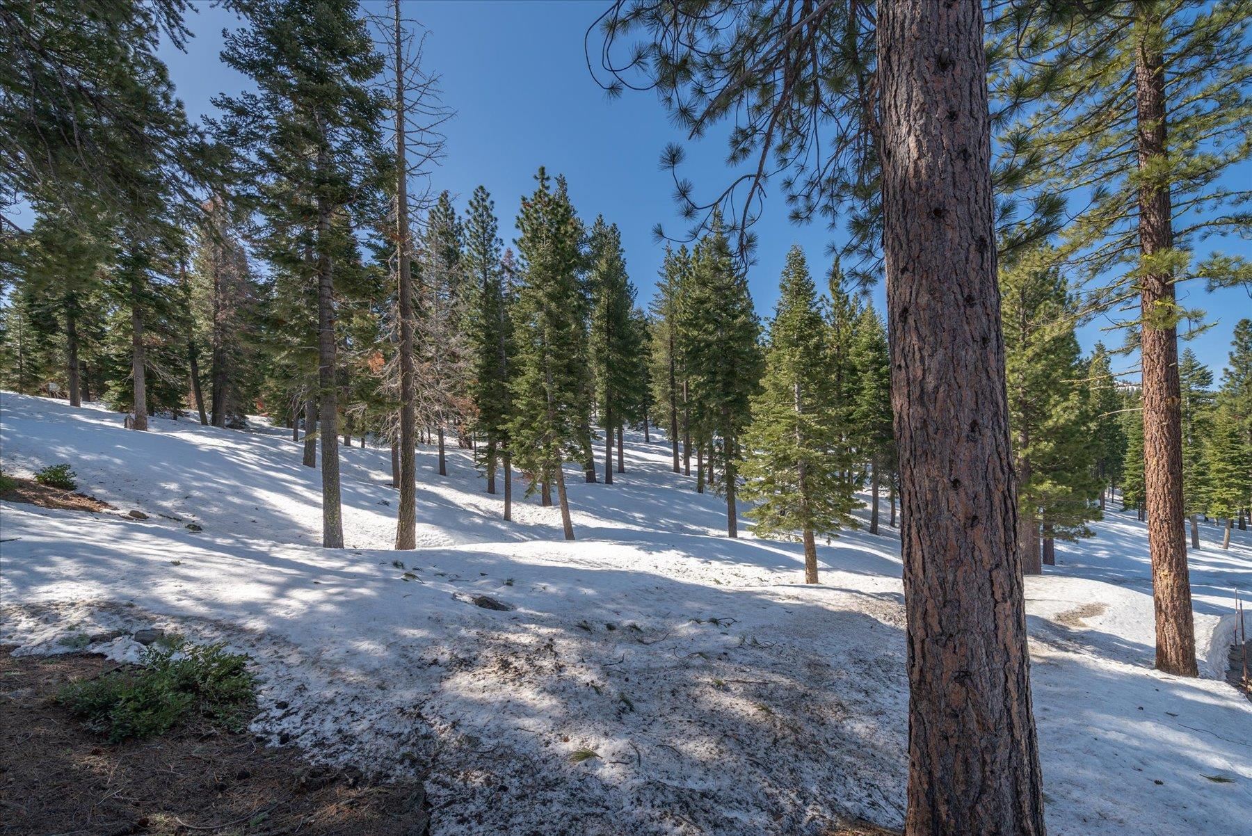 2640 Mill Site Road, Truckee, CA, 96161