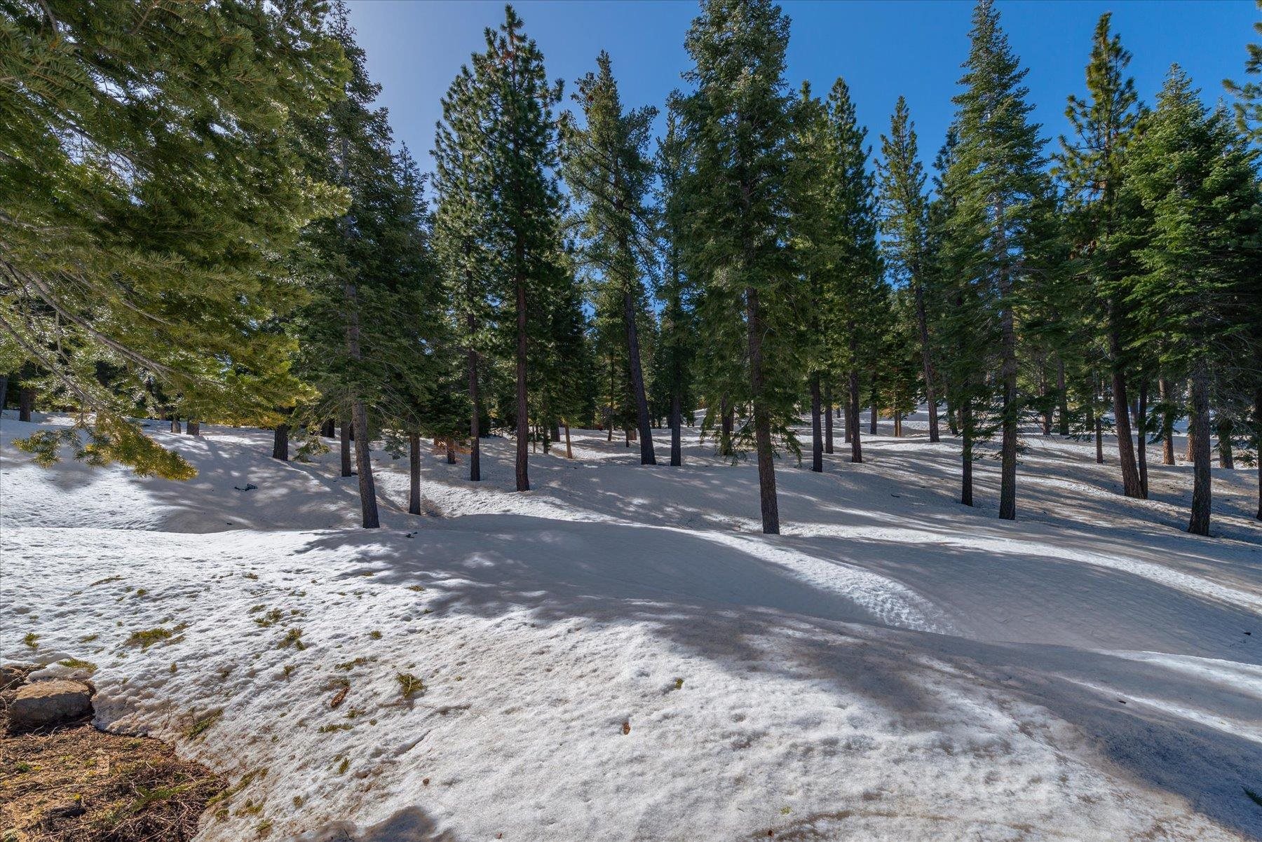 2640 Mill Site Road, Truckee, CA, 96161