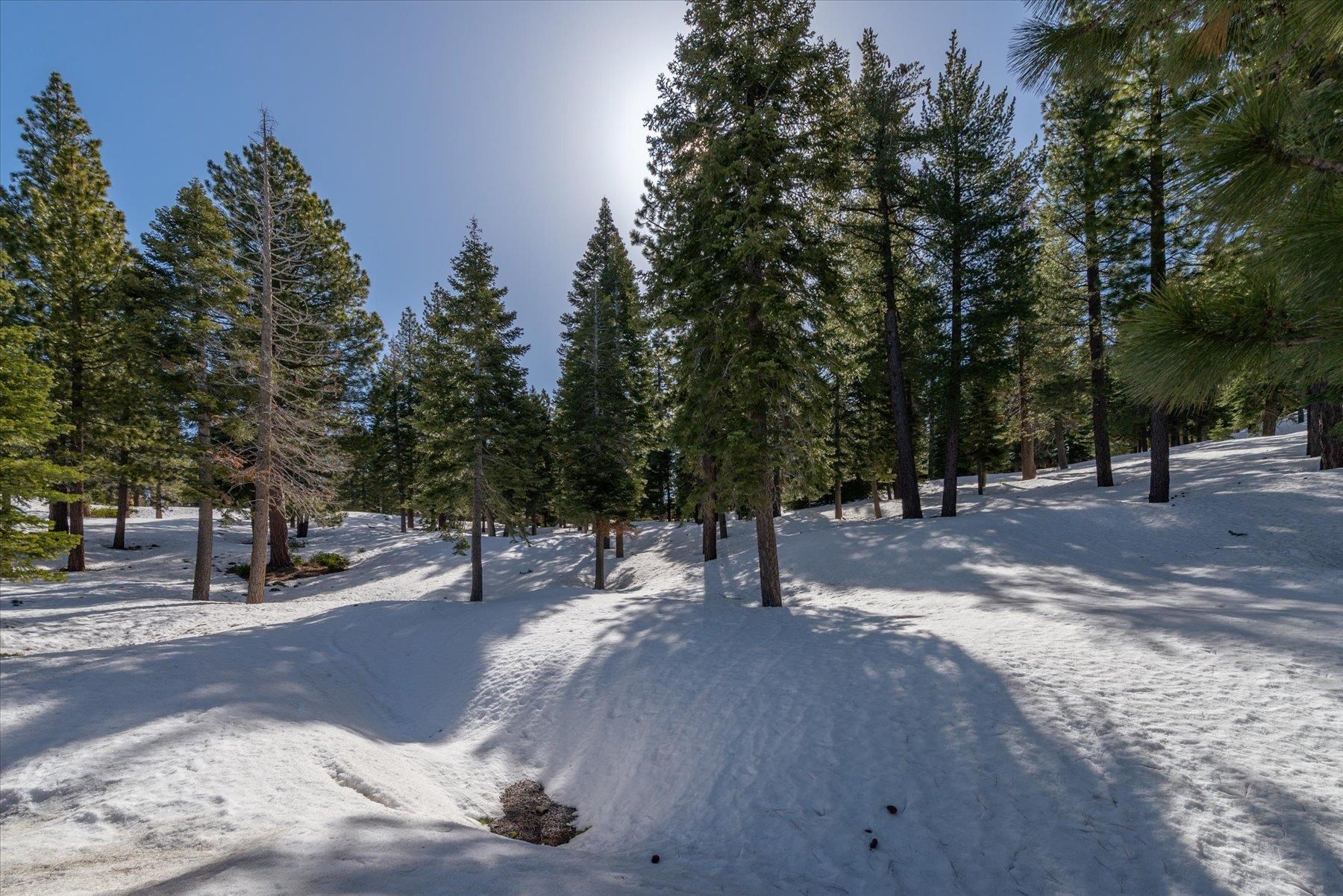 2640 Mill Site Road, Truckee, CA, 96161