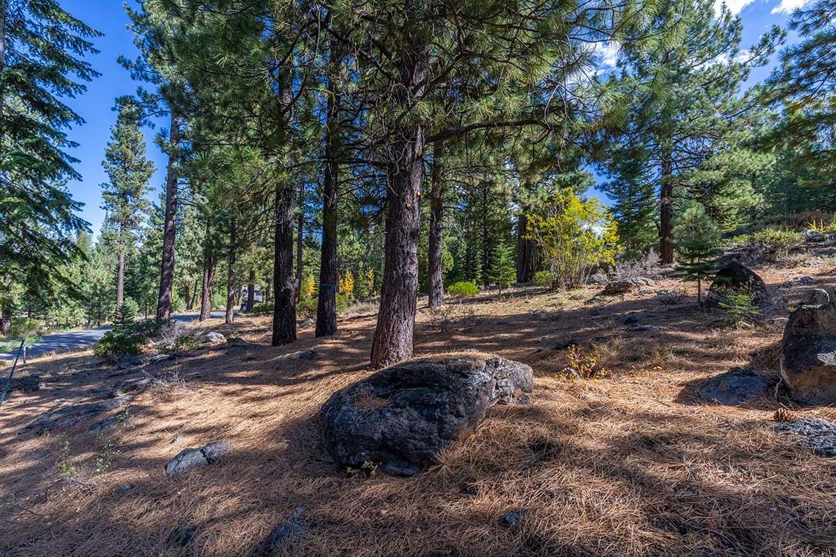 13204 Snowshoe Thompson, Truckee, CA, 96161