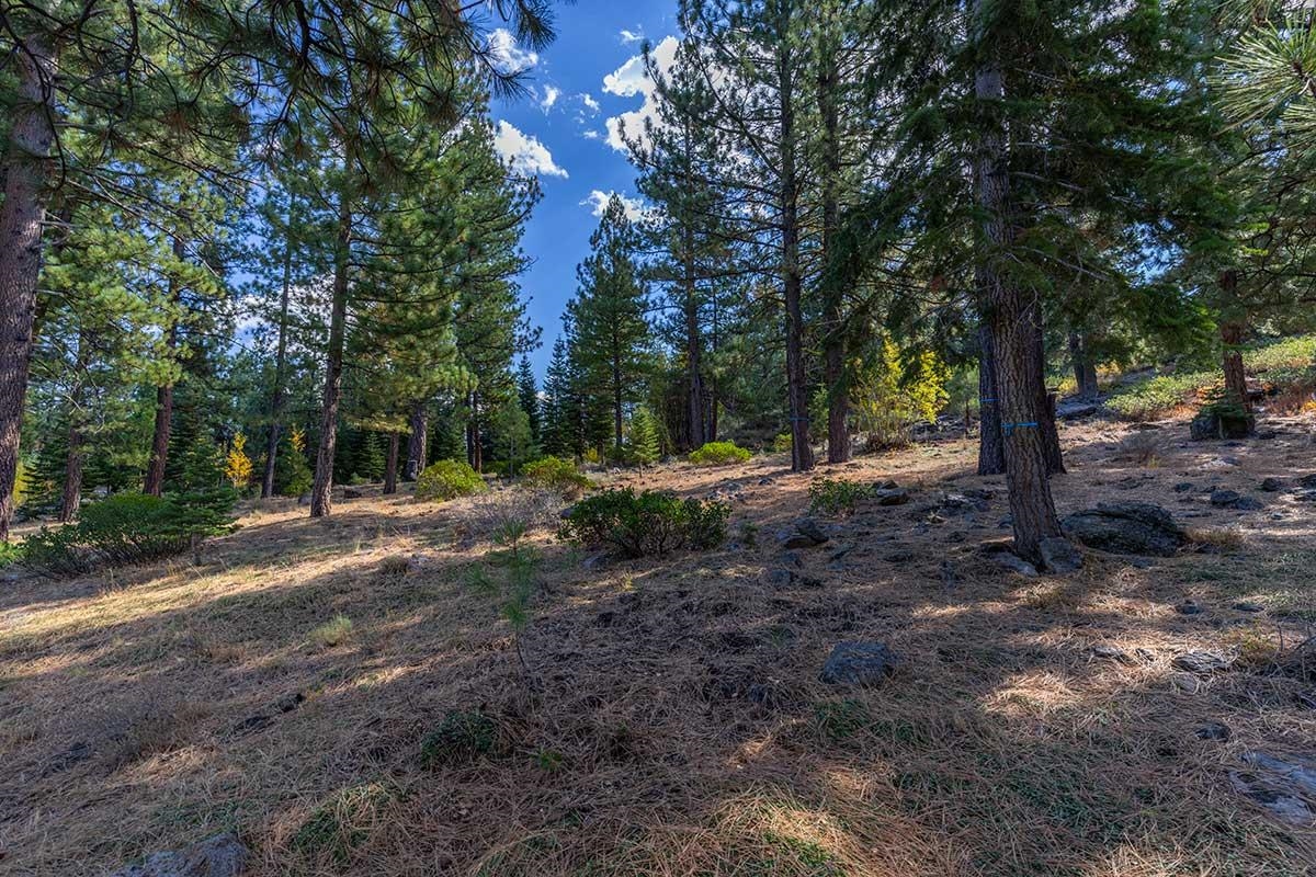 13204 Snowshoe Thompson, Truckee, CA, 96161