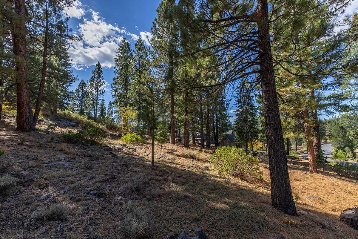13204 Snowshoe Thompson, Truckee, CA, 96161