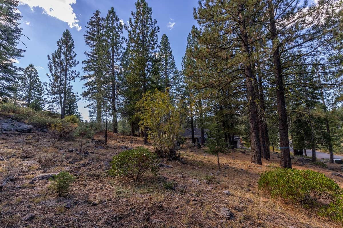 13204 Snowshoe Thompson, Truckee, CA, 96161