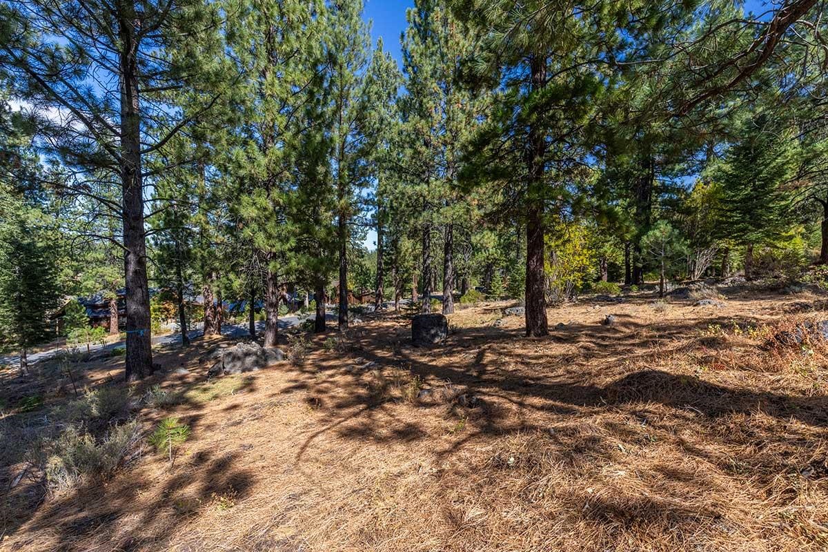 13204 Snowshoe Thompson, Truckee, CA, 96161