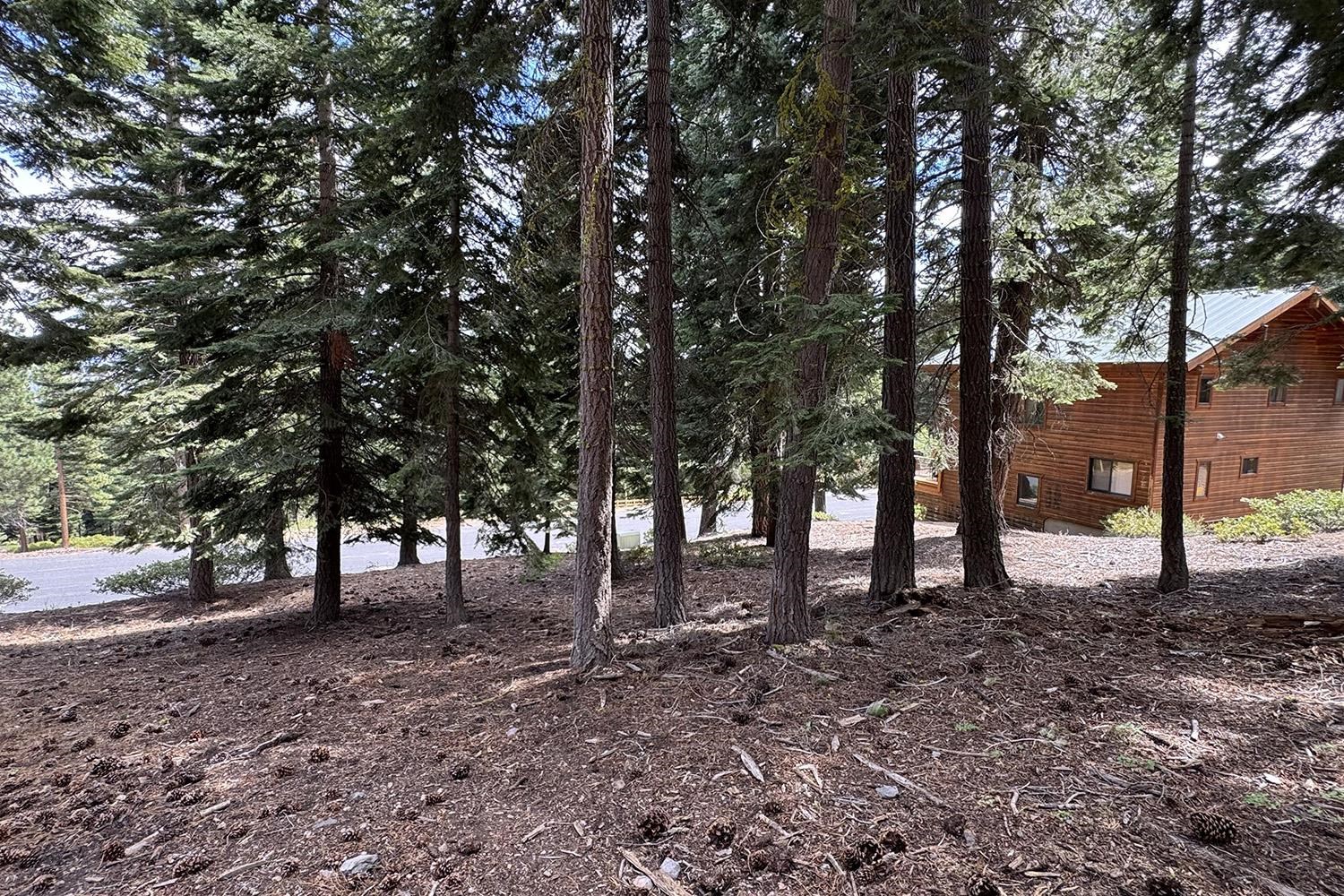 1359 Kings Way