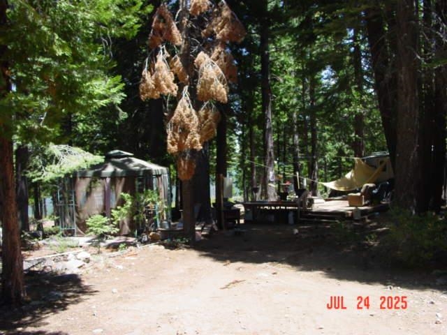 2729 Water Way, Clio, CA, 96106