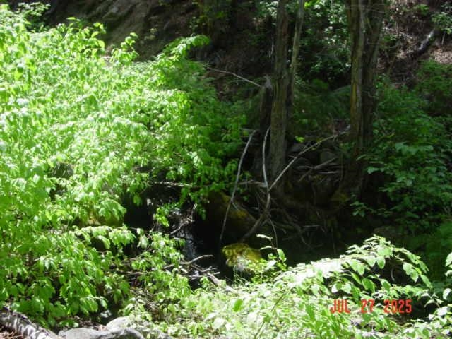 2729 Water Way, Clio, CA, 96106