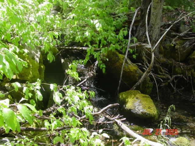 2729 Water Way, Clio, CA, 96106